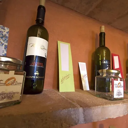 La Casa Dei Papi *