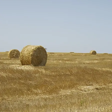 Bed & Breakfast La Casa Dei Papi *